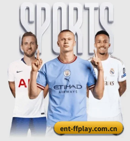 五大服务分区,信息按项目分类