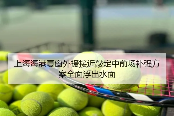 上海海港夏窗外援接近敲定中前场补强方案全面浮出水面